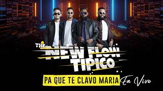 Pa Que Te Clavo Maria The New Flow Típico PARA MUSICOLOGO 2023 Chipeo [upl. by Ru148]