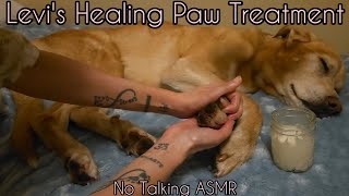 ASMR  Healing Dog Paw Treatment Ft Levi  Coconut Oil Massage  more  NO TALKING  Requested [upl. by Lazor]