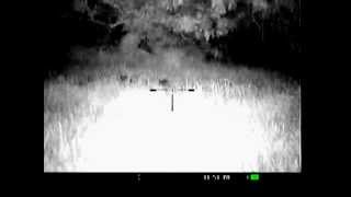 AK47 night vision hog hunt 2 pigs with 1 shot [upl. by Noiz788]