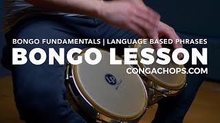 Bongo Lesson  How to Play Bongos  Bongo Fundamentals Language Based Phrases  CongaChopscom [upl. by Spurgeon518]