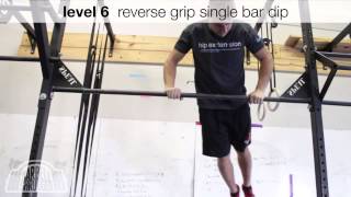 Ring Dips Progression  Barbell Shrugged Progression Series [upl. by Milde673]