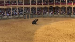 Bullfighting No Gore  Ronda  2918 [upl. by Bald371]