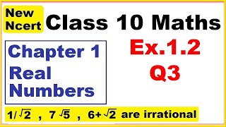 Class 10 Maths  Ex12 Q3  Chapter 1  Real Numbers  New NCERT [upl. by Acissev717]