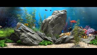 3D Fish Aquarium  219 Live Wallpaper  1080p [upl. by Ader]