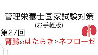 お手軽版 「第27回 腎臓のはたらきpart 1 amp ネフローゼ」【管理栄養士 国家試験対策】国家試験 管理栄養士 管理栄養士国家試験 解剖生理 ネフローゼ 看護師 保健師 薬剤師 [upl. by Ayatan]