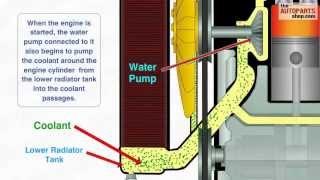 How Car Cooling System Works [upl. by Kiri]