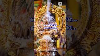 Tamillyricsvideosong vairalvideo trendingsong whatsappstatus tamilsong [upl. by Suravart]