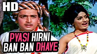 प्यासी हिरणी बन बन ढाए  Pyasi Hirni Ban Ban Dhaye  Lata Mangeshkar  Do Dil 1965 Songs  Rajshree [upl. by Burbank]