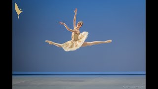 Beatriz Kuperus Finalist Prix de Lausanne 2019 Gamzatti Variation [upl. by Anahcra]