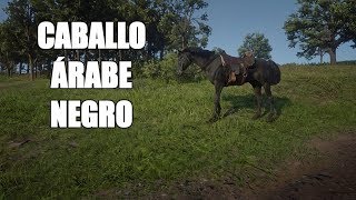 Red Dead Redemption 2  ¿Cómo conseguir el caballo árabe negro uno de los mejores [upl. by Ybbob521]