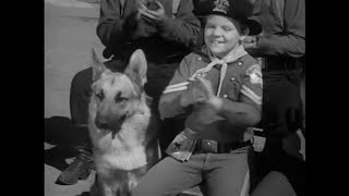 Las Aventuras de Rin Tin Tin  Serie de TV  Español Latino  1x17 [upl. by Cartan541]