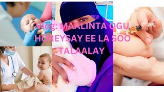 quotVLOGMAALINTA OGU HOREYSAY EE LA SOO TALAALO RAAQIYO 🤱quot [upl. by Gravante]