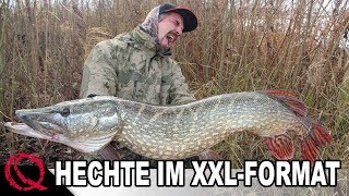 Hechte im XXL Format  Hechtangeln mit Köderfisch  Deadbaiting by Stefan Seuß [upl. by Kubetz]