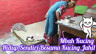 Mbah Kucing Hidup Sendiri Bersama Kucing Jahil [upl. by Wilt486]