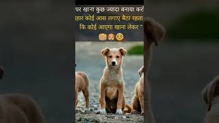 MsSamisharma ghr pe khana thda xtra bna lia kro plzdoglove [upl. by Gregorio]