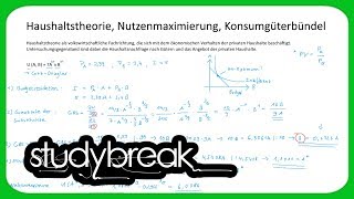 Haushaltstheorie Nutzenmaximierung Konsumgüterbündel  Volkswirtschaftslehre [upl. by Ijat]