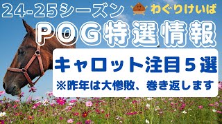 【2425シーズンPOG】キャロットクラブ注目馬５選 [upl. by Kuster]