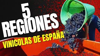 Top 5 Regiones Vinícolas de España Vinos Terroir y Tradición [upl. by Africa]