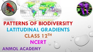 Biodiversity and Conservation Patterns of Biodiversity latitudinal gradients [upl. by Mott]