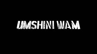 Die Antwoord  Umshini Wam [upl. by Airekal]