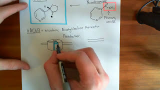 Nicotine Addiction Part 1 [upl. by Ecertal]