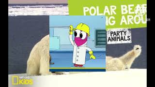 Polar Bear Rolling Around Nat Geo Kids  Full Cover Song 🐻‍❄️❄️🧊💙 [upl. by Rankin]