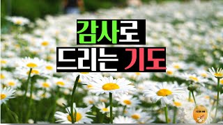 감사로 드리는 기도 [upl. by Diandre]