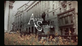 Anson Seabra  Fine Official Lyric Video [upl. by Eerolam]