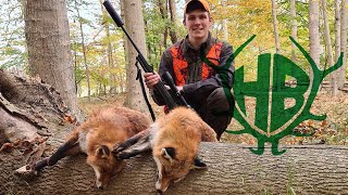 Erfolgreiche Drückjagd  Hunter Brothers [upl. by Elnore]