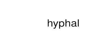 How to pronounce hyphal [upl. by Wiseman898]