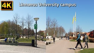 4K Walk at Växjö Linnaeus University Campus [upl. by Ernie]