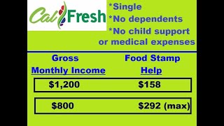 CalFresh  How Much Food Stamp Help  Single No Dependents 2024 [upl. by Enomar737]