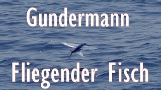 Gerhard Gundermann  Fliegender Fisch [upl. by Puri]