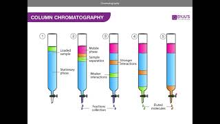 Chromatography AQA A level Chemistry [upl. by Purcell]