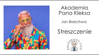 Akademia Pana Kleksa  streszczenie lektury [upl. by Ishmul]