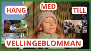 Vellingeblomman  fjärde advent [upl. by Sinnoda]