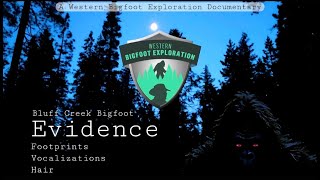 NEW SASQUATCH EVIDENCE IN BLUFF CREEK  2024 BIGFOOT DOCUMENTARY [upl. by Imhsar55]