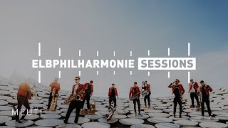 Elbphilharmonie Sessions  MEUTE live on the Rooftop [upl. by Ranjiv]