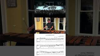 best marimba lick in WGI24 how Rhythm X auditions marimba players must learn absolute 🔥🔥🔥 [upl. by Nunciata954]