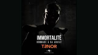 Tenor  Immortalité Hommage à Dj Arafat [upl. by Sucitivel]