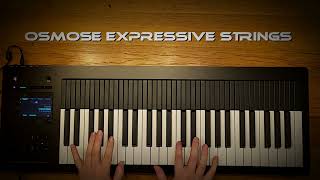 Expressive E Osmose Realistic Strings osmose [upl. by Anauqahc]