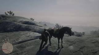 Little Snowy and Reddish Egret Plumes  Location Guide  Red Dead Redemption 2 [upl. by Nwahsyt560]