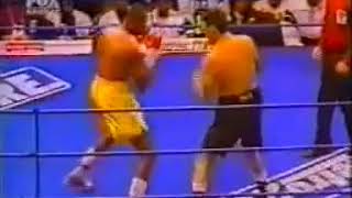 Thomas Hearns vs Lenny Lapaglia 19950331 [upl. by Sladen658]