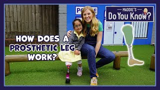 How does a Prosthetic Leg work 🦿 Maddies Do You Know 👩 [upl. by Cleaves]