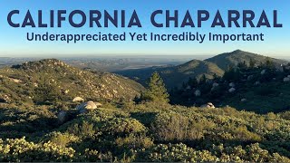 California Chaparral The Most Underrated Biome [upl. by Ruyam682]