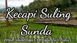 KECAPI SULING SUNDA MP3 INSTRUMEN PALING ENAK DIDENGAR SAAT BERSANTAI [upl. by Iow767]