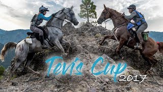 2017 Tevis Cup  Western States Trail [upl. by Nabatse519]