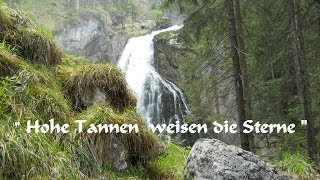 Hohe Tannen weisen die Sterne [upl. by Naaman6]