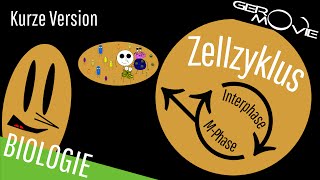 ► Zellzyklus und Zellteilung  verständlich erklärt  Kurze Version [upl. by Hamrnand]