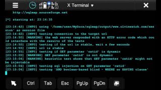 Sqlmap On Nokia N900 [upl. by Marlene494]